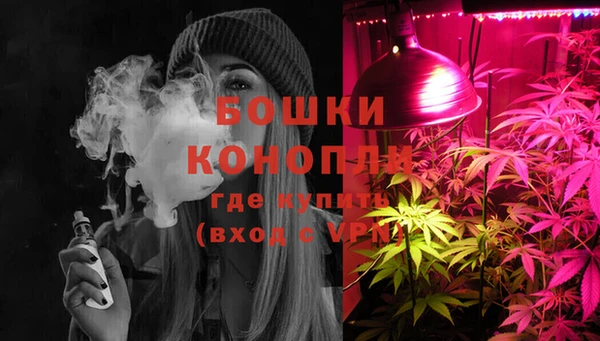 СК Михайловск