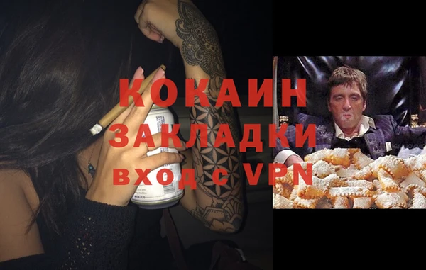гашик Михайловка